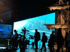 -贝林大翅鲸简餐厅(国家海洋博物馆店)