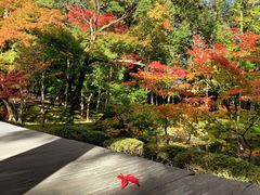 -西芳寺(苔寺)
