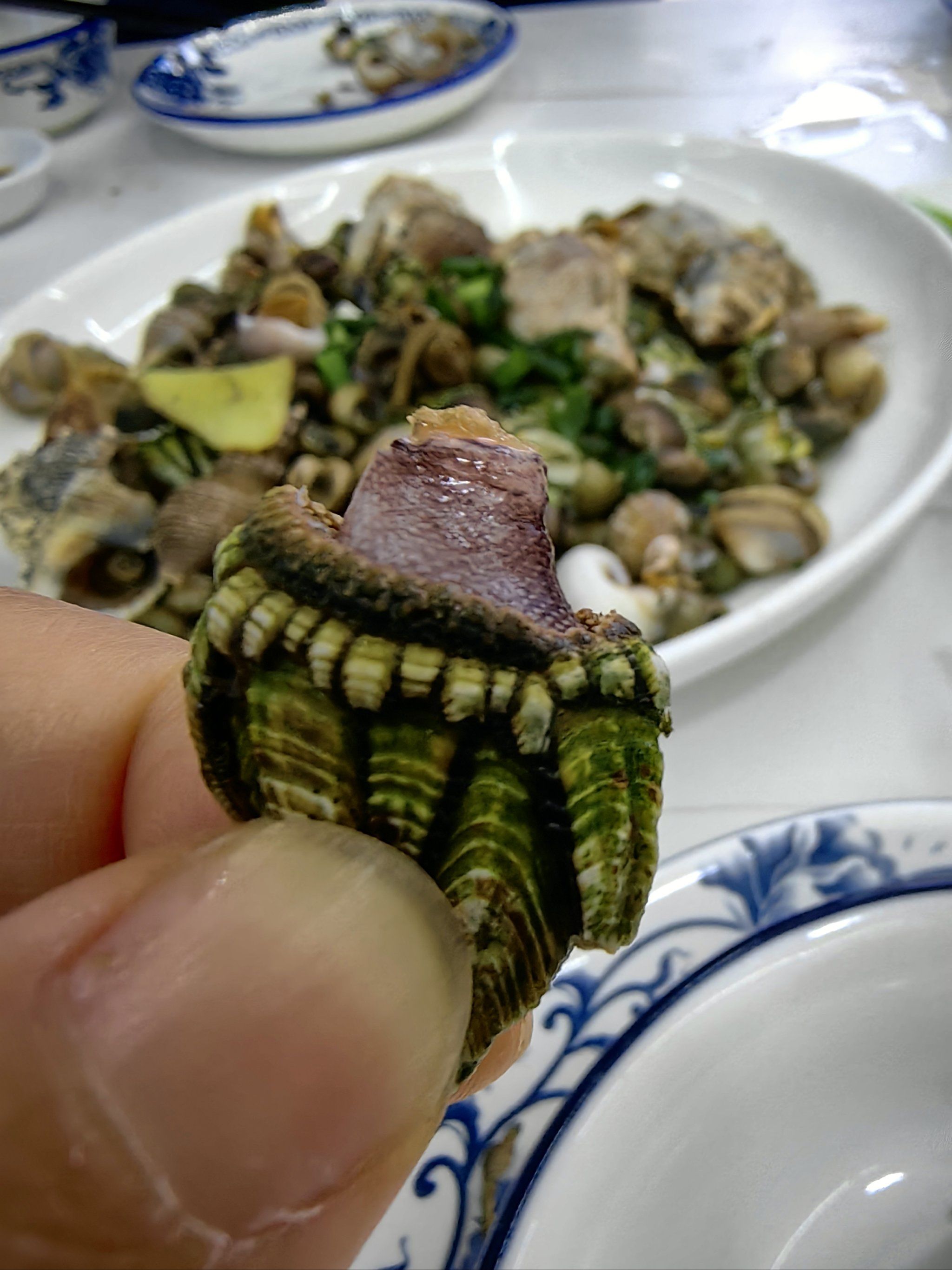 [火锅]图一这个螺,有叫佛手螺也有叫鬼爪螺,总之就是螺的一种…不知道