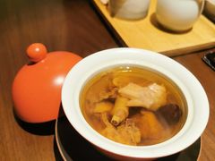 藏区羊肚菌花胶炖农场走地鸡汤-觅唐MITONG(鸟巢店)