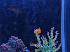 -秦皇岛新澳海底世界