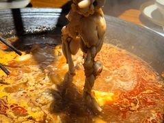 -老天桥蛙炉火锅(姑苏总店)