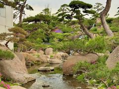 -罗红摄影艺术馆