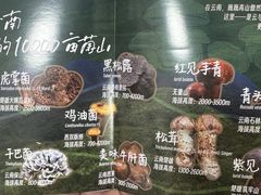 -芸山季·云南山珍菌火锅(人民广场来福士店)