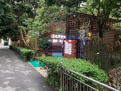 -二荆条·蜀鲜汇城市森林火锅
