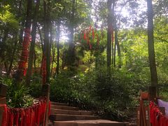 -青城山