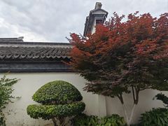 -檀园