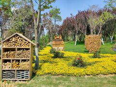 -雪山彩虹谷景区