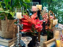 -看见远方·莫干遥远的山民宿