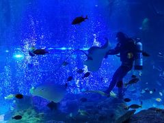 -沈阳海洋探索中心