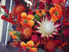 -Flower in(密渡桥店)