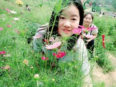-大塘金香草谷