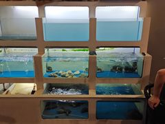 -质烤烤物·活烤海鲜(质烤总店)