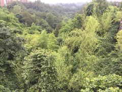 -狮子关旅游区