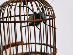 -蟹村草堂·苏式园林人文农家·大闸蟹