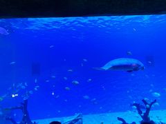 -珠海拱北口岸智选假日酒店