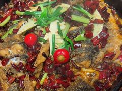 -老板恋上鱼(恒隆广场店)