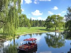 -上海共青森林公园