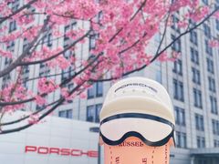 -上海浦东保时捷中心