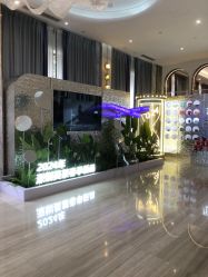 -深圳美莱医疗美容医院