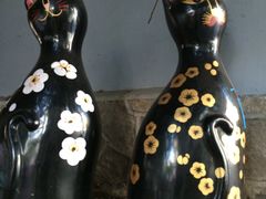 -猫咪博物馆(顶澳仔猫街店)