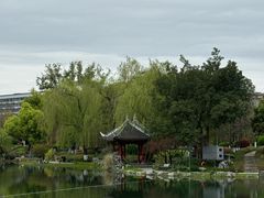 -北湖公园