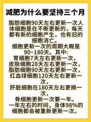 -Fundi张玉珊修身堂·indiba·BTL科技瘦身