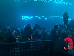 -SPACE(欢乐颂购物中心店)