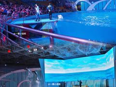 -海合安青岛极地海洋公园