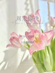 -美肤盾祛痘·问题肌头疗管理中心