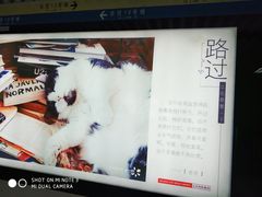 大堂-茶太良品·北京特色茶饮(西站食宝街店)