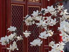 -西安市广仁寺