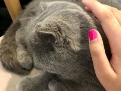 -万达广场(泰安泰山店)