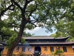 -普陀山风景名胜区-法雨禅寺