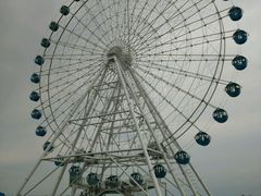 android_upload_pic-秦皇岛乐岛海洋王国