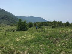 -白草畔自然风景区