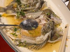 -龙悦湾酒家·八阵鱼生·渔人码头店