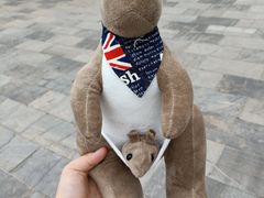 -辛玛王国游乐园