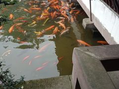 -国色天乡三期陆地乐园