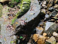 -宁波五龙潭景区