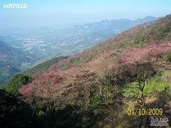 -广州市石门国家森林公园