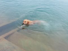 -仙海旅游度假区