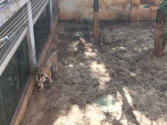 -昆明动物园