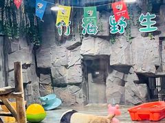 -栾川竹海野生动物园