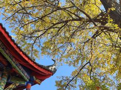 -金堂县云顶石城风景区