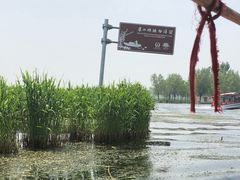 -白洋淀景区