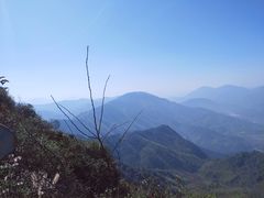 -江西阳明山国家森林公园