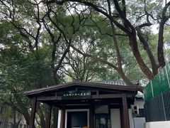 -马王堆汉墓遗址