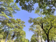 -华南师范大学(广州大学城校区)