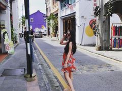 -槟城街头艺术街区